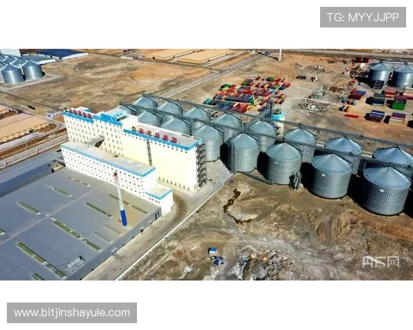 金沙河面业集团在科技创新方面的投入与面粉加工技术的突破