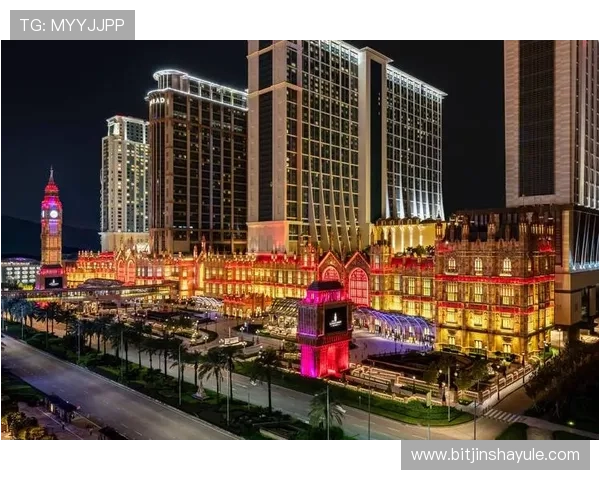 澳门金沙城官网登入最新安全验证措施解析，保障玩家账号信息安全的实用技巧