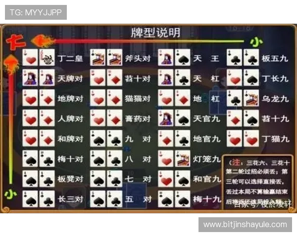 皇家棋牌全面解析：提升你的棋牌技巧与策略的最佳指南